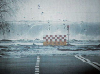 青森県八戸市内の道路に押し寄せる津波