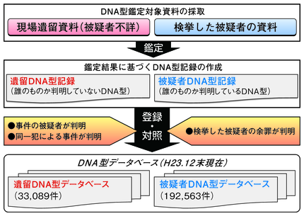 図2-34　犯罪捜査におけるDNA型鑑定、DNA型データベースの活用