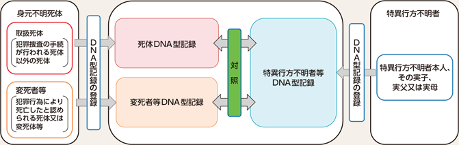 図表2-54　身元確認のためのDNA型データベースの活用