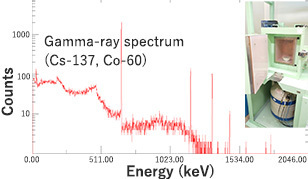 Gamma-ray spectroscopy