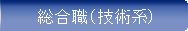 総合職（技術系）