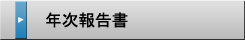 年次報告書