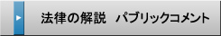 法律の解説 パブリックコメント