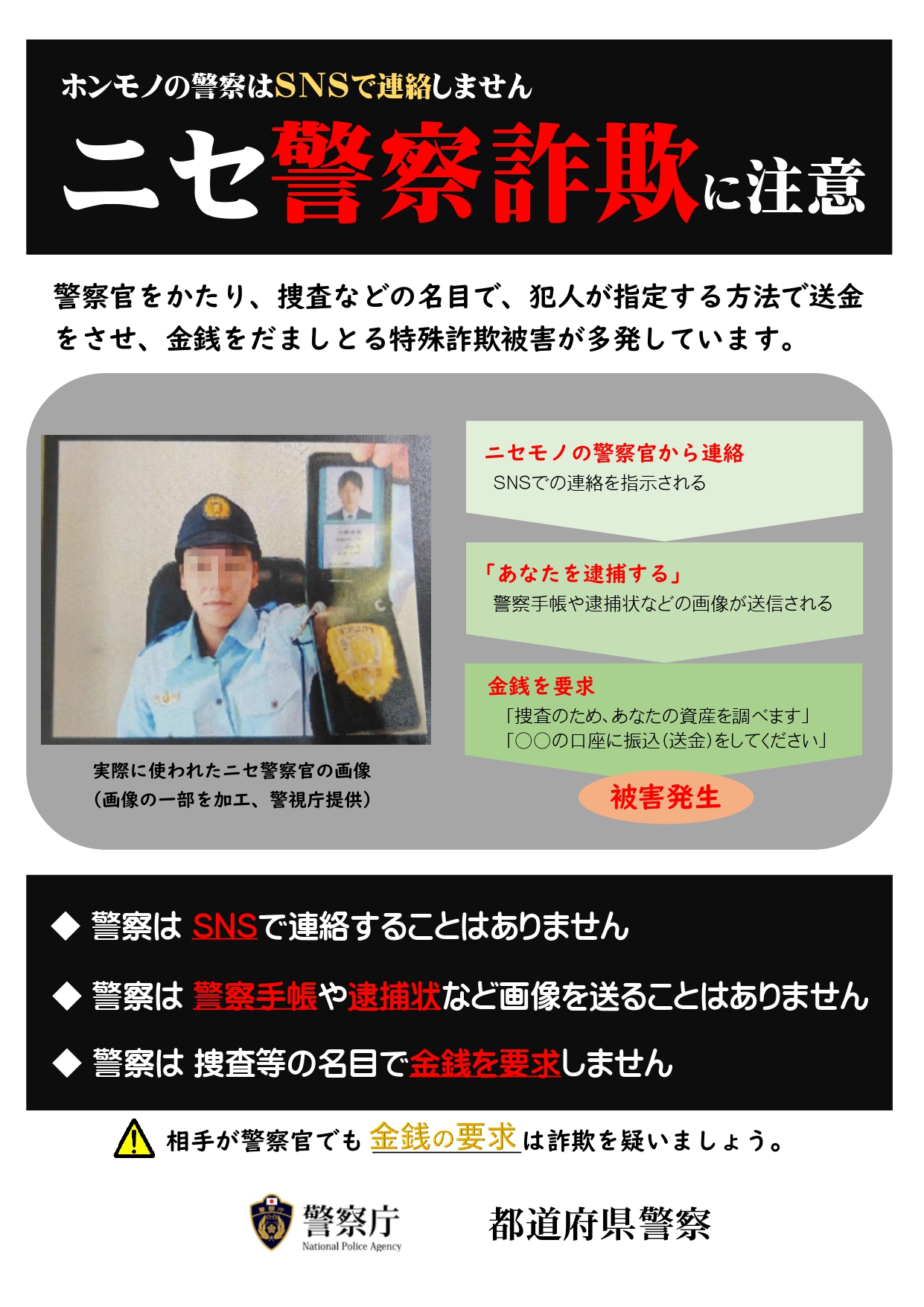 PDF ダウンロード イメージ画像