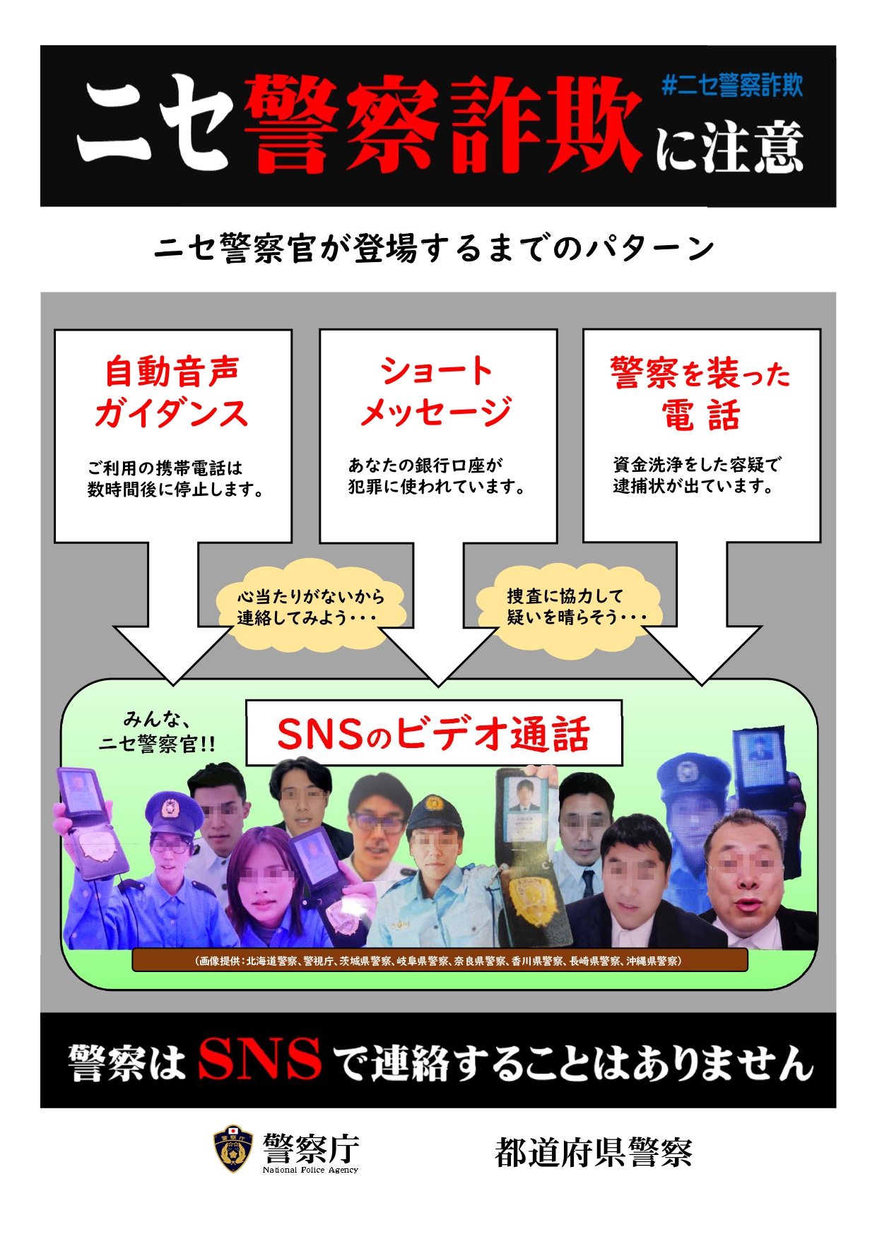 PDF ダウンロード イメージ画像