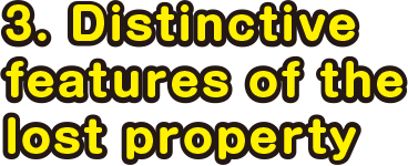 3. Distinctive features of the lost property