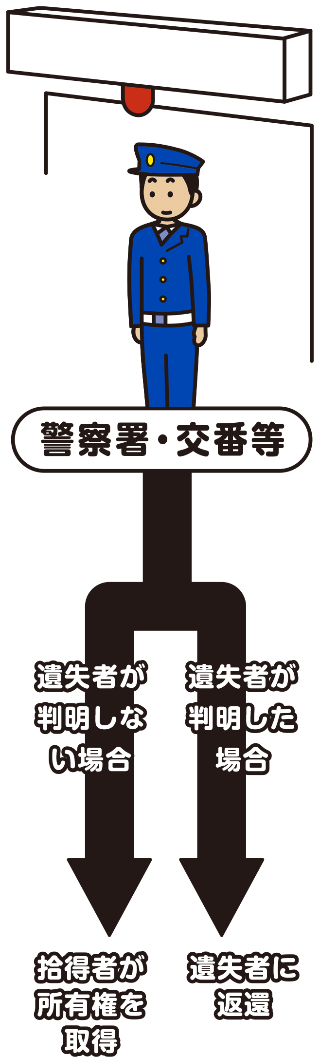 警察署・交番等　遺失者が判明しない場合　拾得者が所有権を取得　遺失者が判明した場合　遺失者に返還