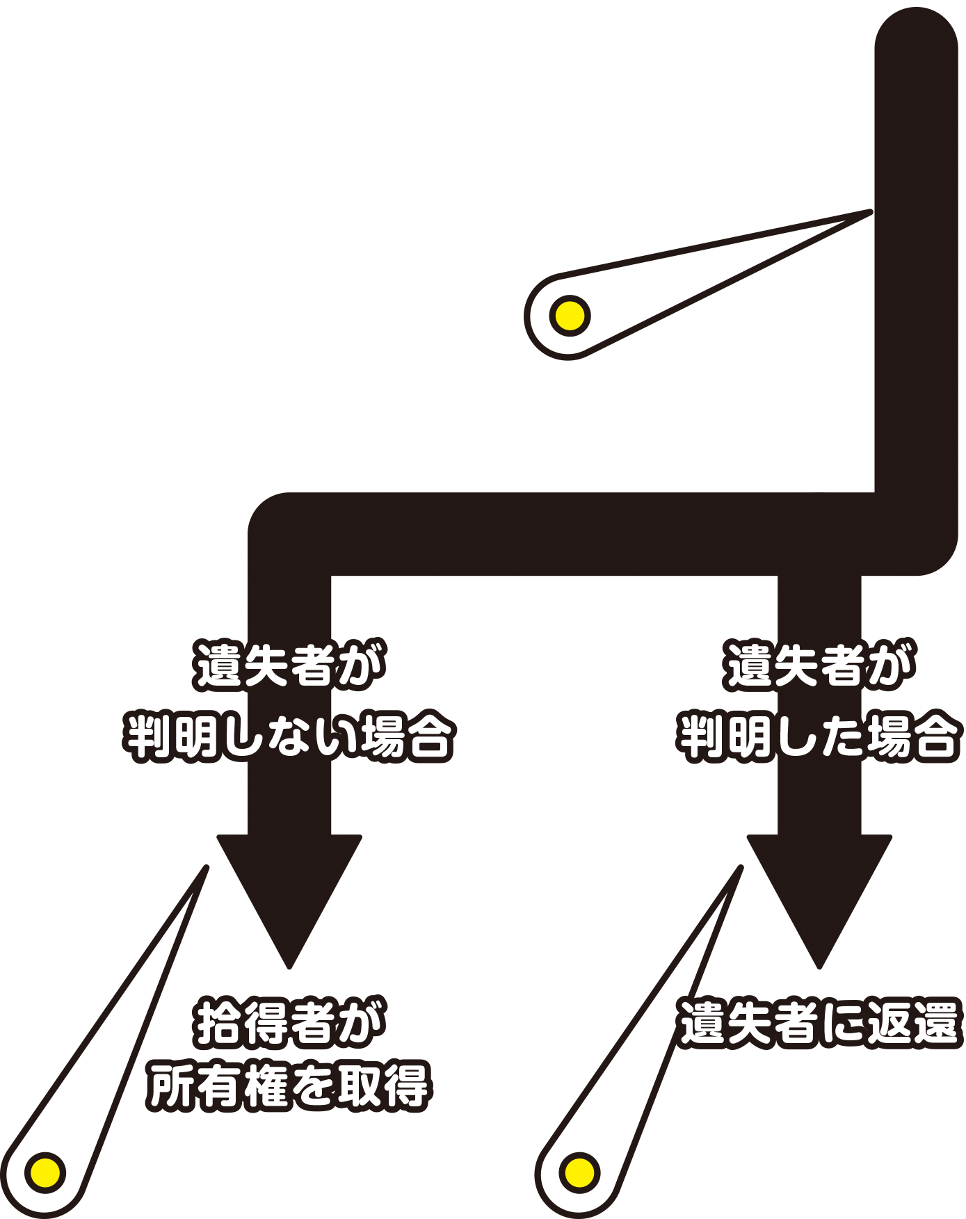 遺失者が判明しない場合　拾得者が所有権を取得　遺失者が判明した場合　遺失者に返還