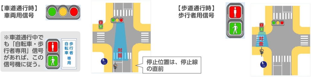 【車道通行時】車両用信号　【歩道通行時】歩行者用信号のイラスト