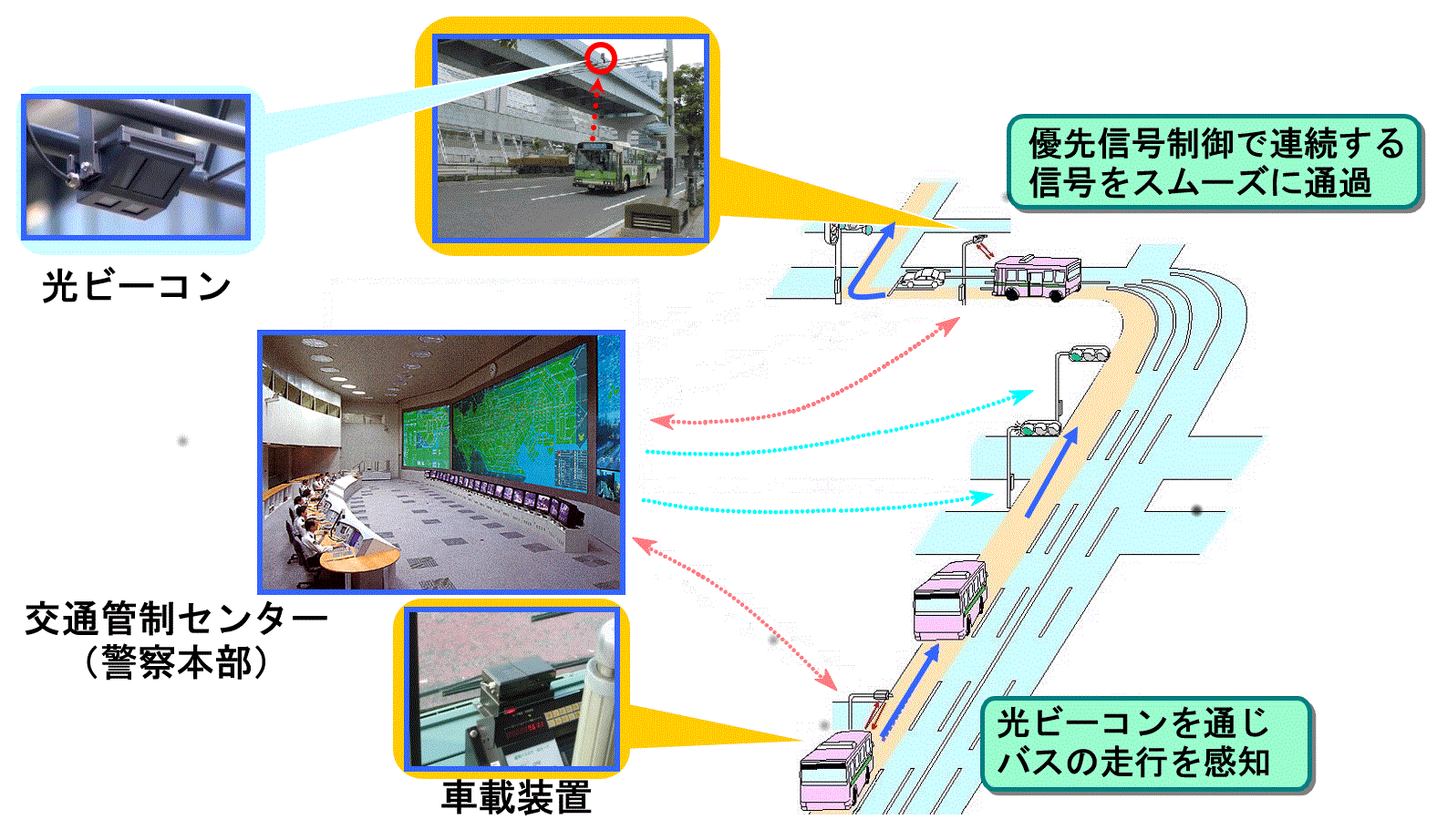 PTPSの写真