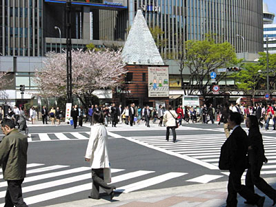 歩車分離式信号(スクランブル方式)