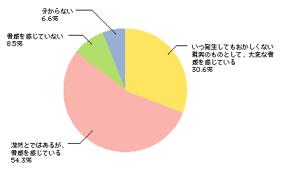 図1-23　サイバーテロの脅威を感じているか