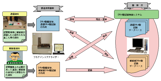 図1-34　DNA型記録検索システムの活用