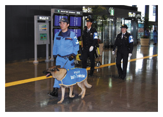 空港施設における警戒