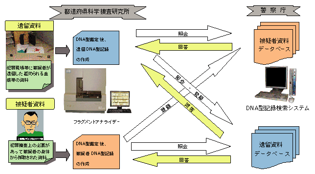 図-47　DNA型記録検索システムの仕組み