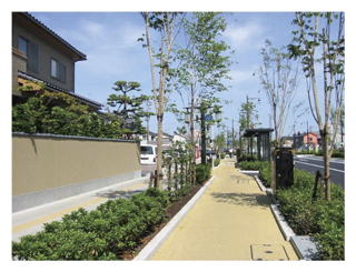 写真　自転車道の整備例（新潟県新潟市）