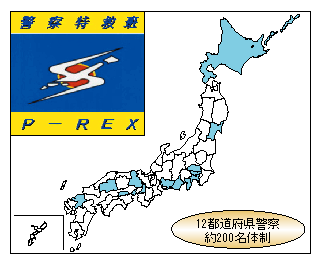 図4-15　特別救助班（P-REX）の設置