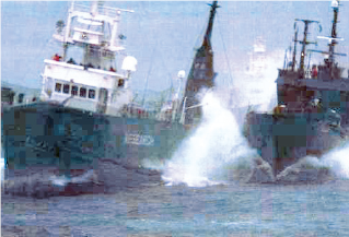 調査捕鯨船に対する妨害行為（提供：（財）日本鯨類研究所）