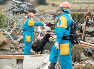 災害救助犬による捜索