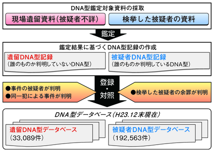 警察 に dna を 取 られ た