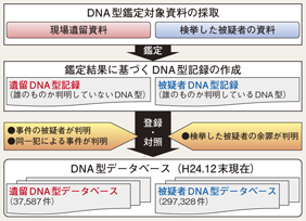 図2-28　犯罪捜査におけるDNA型鑑定、DNA型データベースの活用