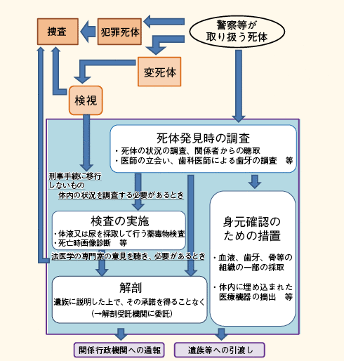 図表－53　警察等が取り扱う死体の死因又は身元の調査等に関する法律（概要）