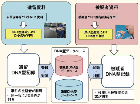 図表－57　犯罪捜査におけるDNA型鑑定の活用方法