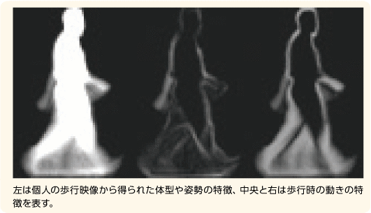 図表-72　歩容解析の例