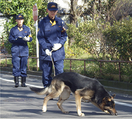 警察犬の出動