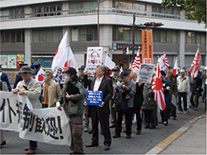 右派系市民グループのデモ（11月、東京）