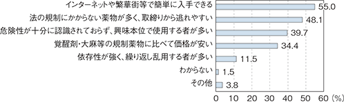 図表-22　危険ドラッグが乱用される背景についてどのように思うか（複数回答）