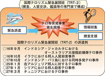 図表特-6　TRT-2の概要