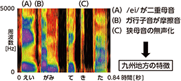 音声による出身地の推定の例