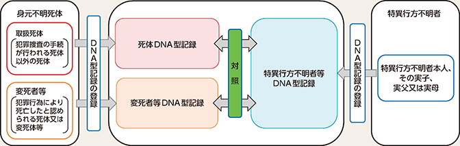 図表2-71　身元確認のためのDNA型データベースの活用