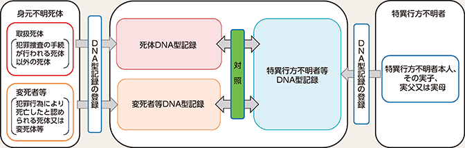 図表2-66　身元確認のためのDNA型データベースの活用