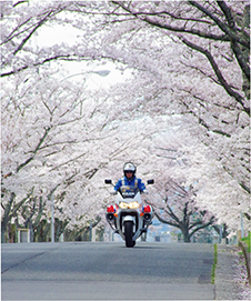 春爛漫パトロール(三重県、令和2年4月)