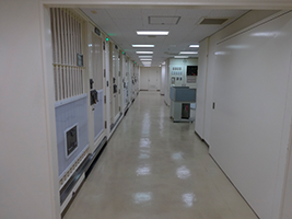 留置施設内（居室区画）の状況