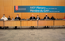 FATF全体会合の様子(©FATF事務局)