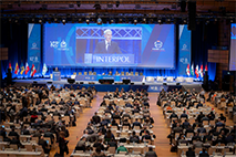 第91回ICPO総会(©INTERPOL)