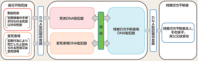 図表2-78　身元確認のためのDNA型データベースの活用