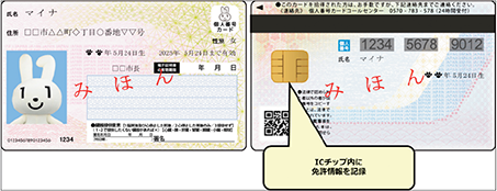 マイナンバーカードと運転免許証の一体化（イメージ）