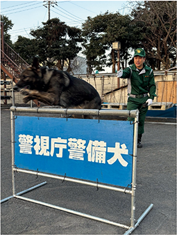 警視庁警備部警備第二課警備装備第三係　新村　賢樹
