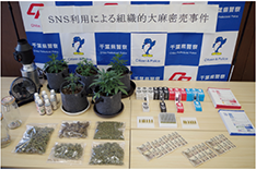 押収された大麻等