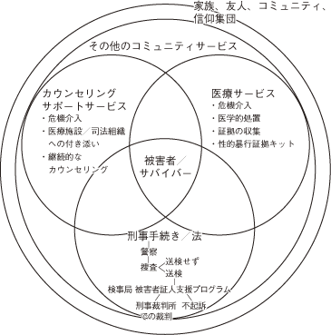 性的暴行プロトコール