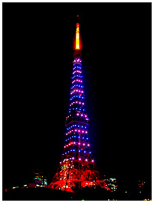 東京タワーのパープルライトアップ（平成26年11月12日）