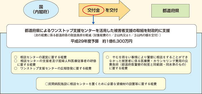 性犯罪・性暴力被害者支援交付金による都道府県に対する財政支援