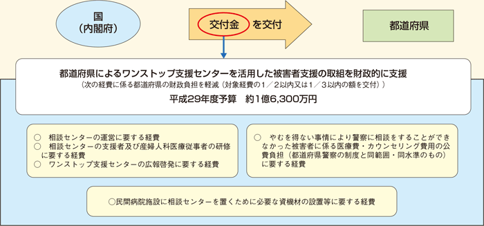 性犯罪・性暴力被害者支援交付金による都道府県に対する財政支援