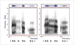 Example of Voiceprint