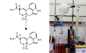 Synthesis of analytical standards (drugs and its metabolites).