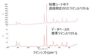 ポリエステル単繊維の測定例